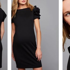 Pietro Brunelli Salisburgo Maternity Dress - Small